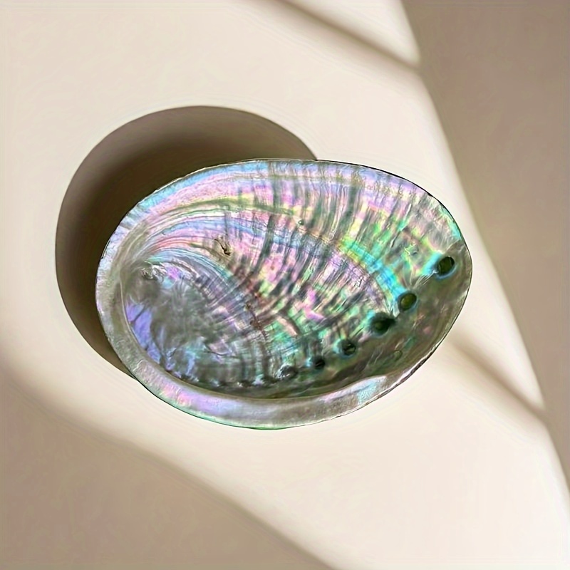 Abalone Kabuğu Saksıları, Abal - Outdoor Furniture Material incelemesi ve fiyatı